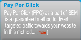 Ecommerce Websites